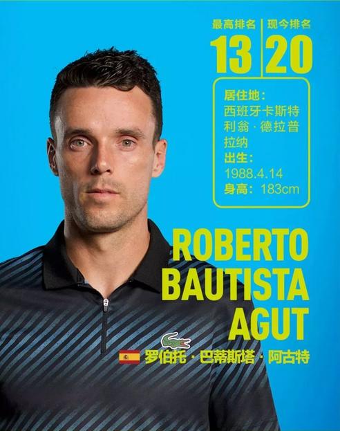 阵容基础 阵容基础