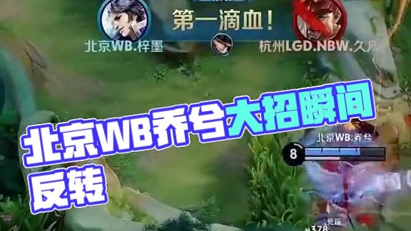 的视野分